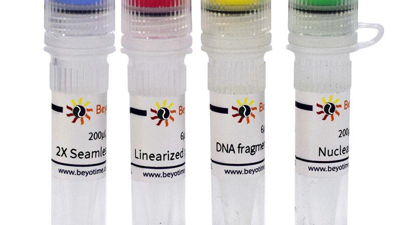 Seamless Cloning Kit