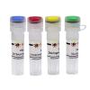 Seamless Cloning Kit